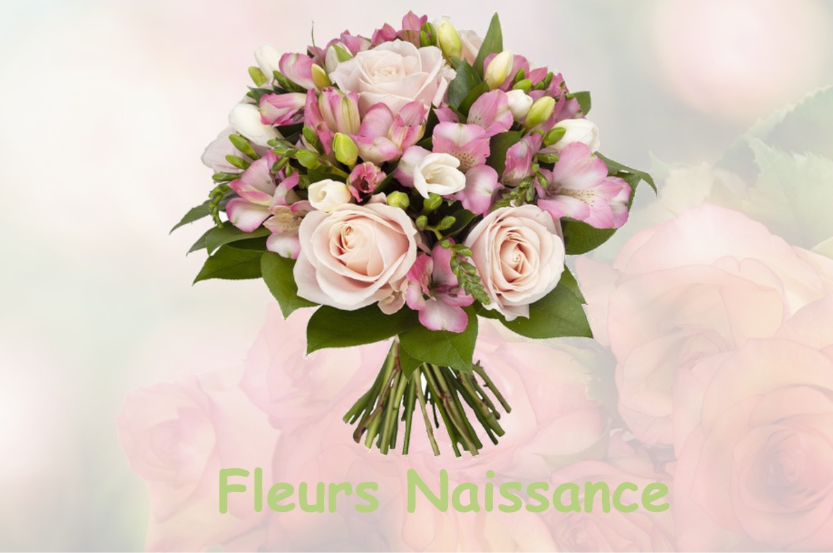 fleurs naissance CHATILLON-SUR-CLUSES