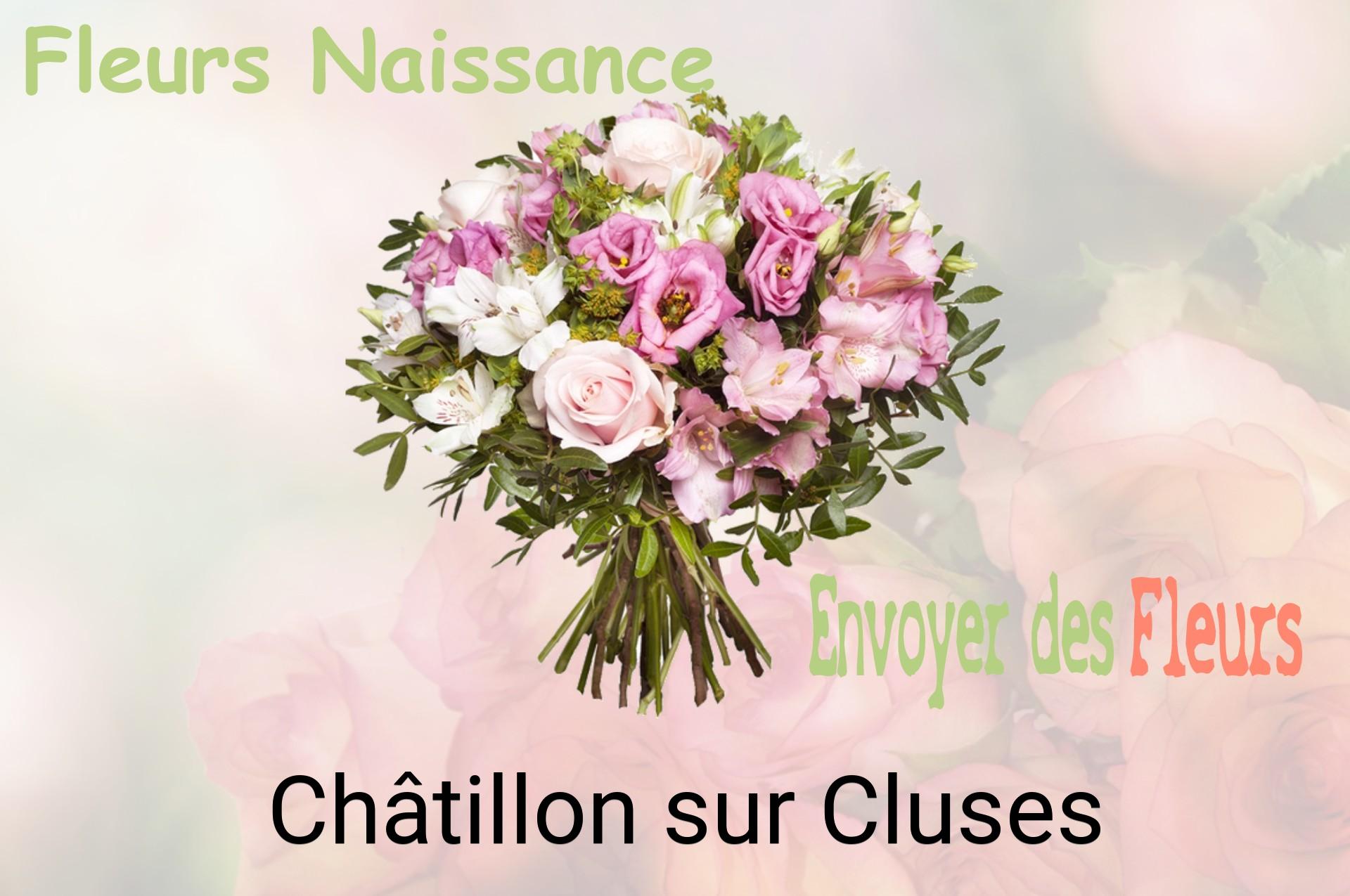 Bouquet de fleurs de naissance livré à Châtillon-sur-Cluses