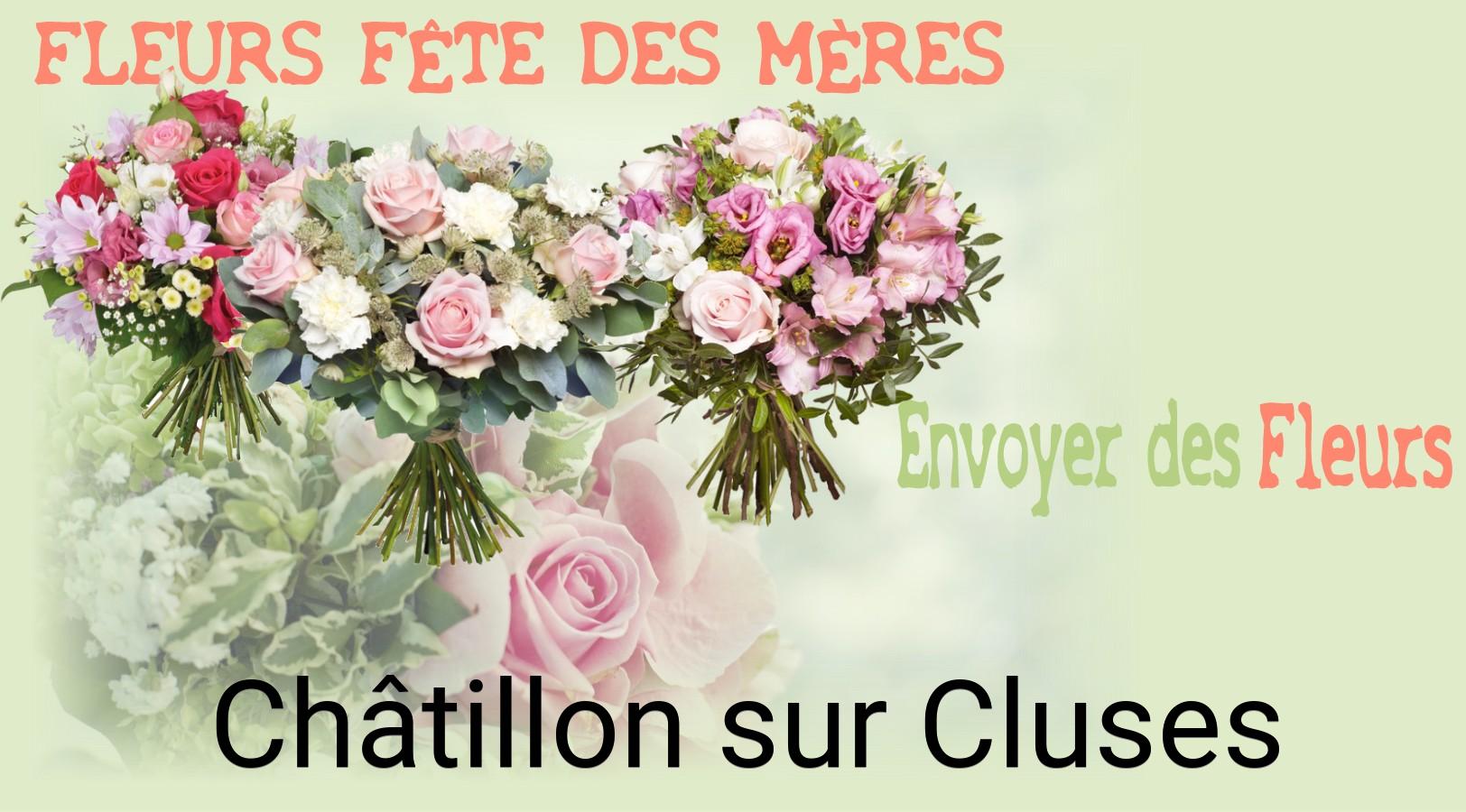 Bouquet de Fête des Mères livré à Châtillon-sur-Cluses