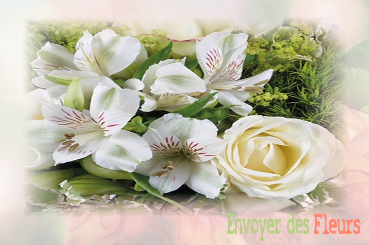 envoyer des fleurs à à CHATILLON-SUR-CLUSES